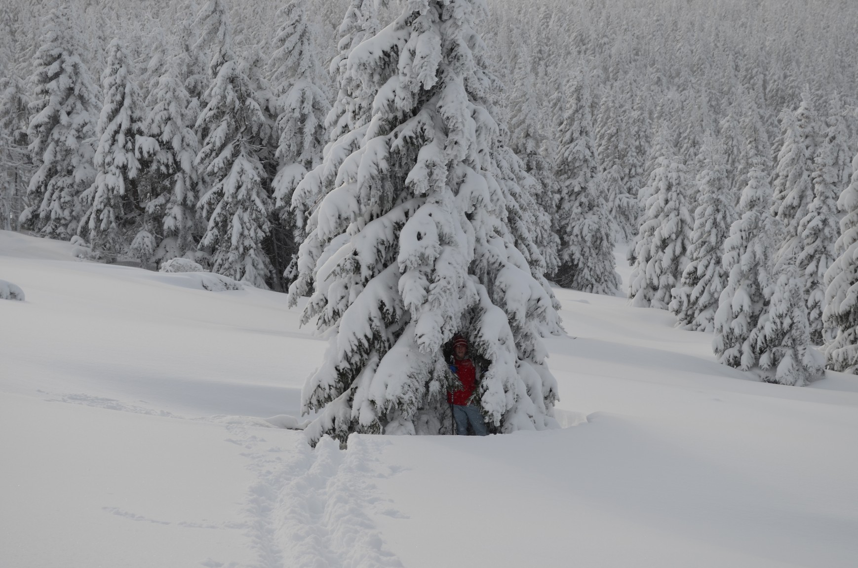 Výprava na Petrášku